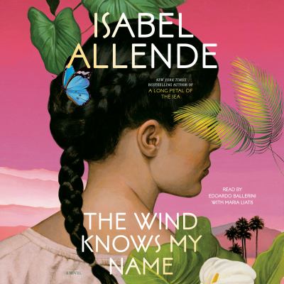 The wind knows my name : a novel