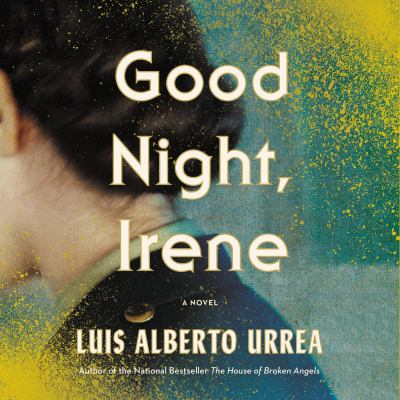 Good night, irene : A novel.