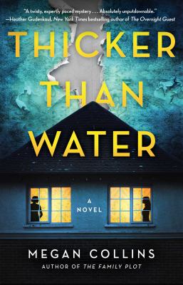 Thicker than water : a novel