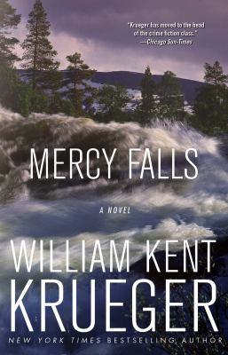 Mercy Falls : a novel