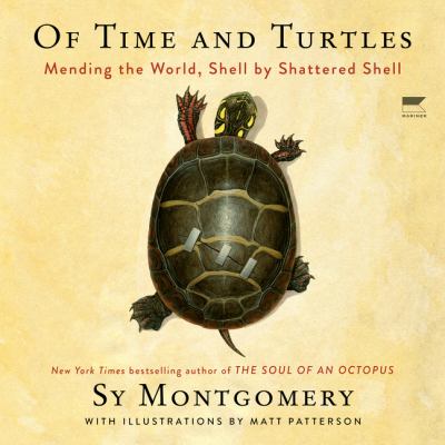 Of time and turtles : Mending the world, shell by shattered shell.