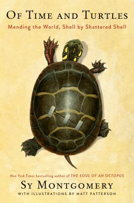 Of time and turtles : Mending the world, shell by shattered shell.