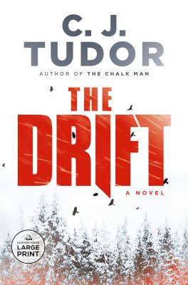 The drift : a novel