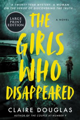 The girls who disappeared : a novel