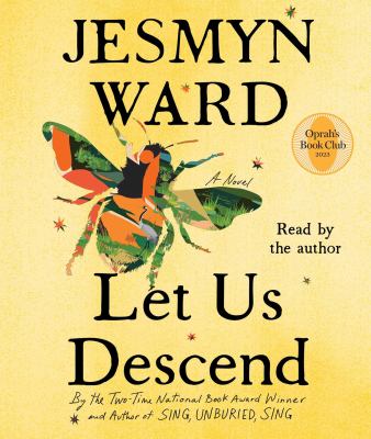 Let us descend : a novel