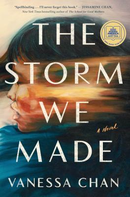 The storm we made : a novel
