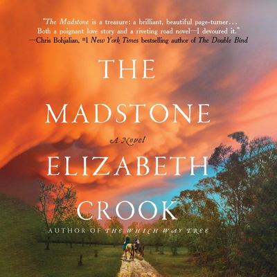 The madstone : a novel