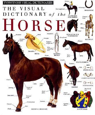 Visual dictionary of the horse.