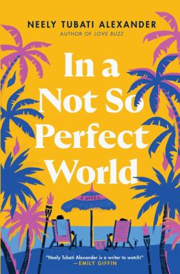 In a not-so-perfect world : a novel