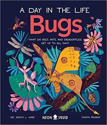 Bugs : what do bees, ants, and dragonflies get up to all day?