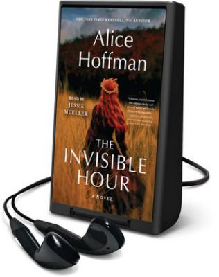 The invisible hour : a novel