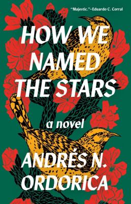 How we named the stars : a novel