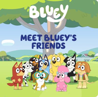 Meet bluey's friends