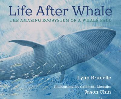 Life after whale : the amazing ecosystem of a whale fall