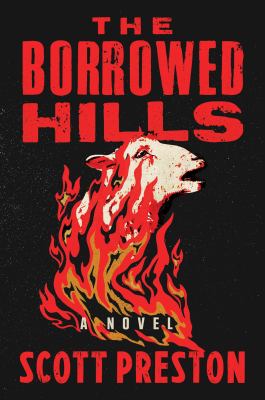 The borrowed hills : a novel