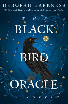The black bird oracle : a novel