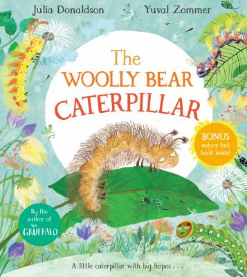 The woolly bear caterpillar