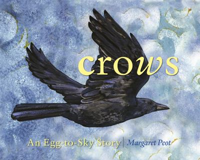 Crows : an egg-to-sky story