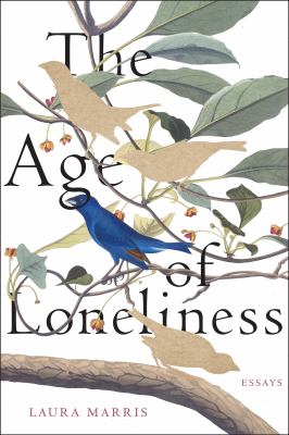 The age of loneliness : essays