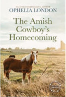 The Amish cowboy's homecoming