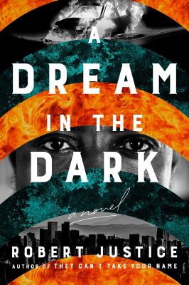 A dream in the dark : a novel