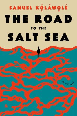 The road to the salt sea : a novel