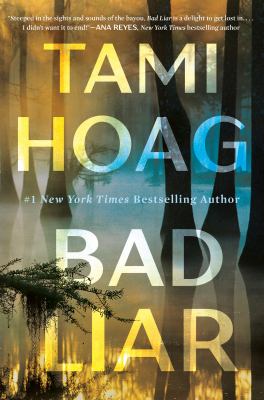 Bad liar : a novel