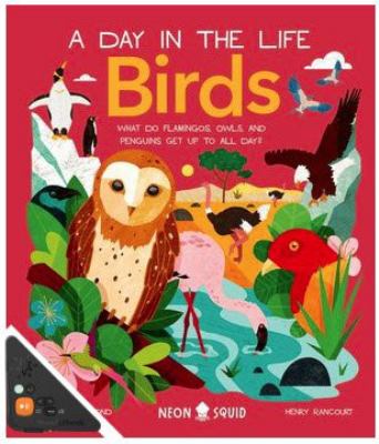 Birds : what do flamingos, owls, and penguins get up to all day?