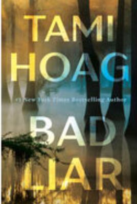 Bad liar : a novel