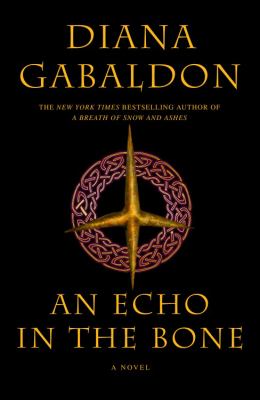 An echo in the bone : a novel