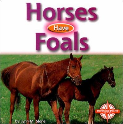 Horses have foals