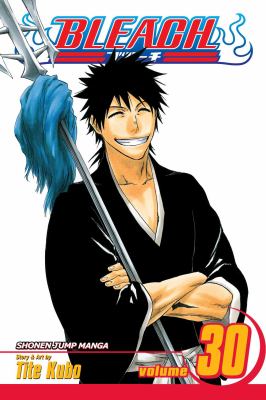 Bleach. Vol. 30, There is no heart without you /