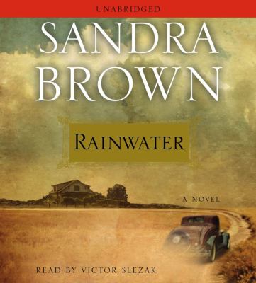 Rainwater : a novel