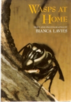 Wasps at home