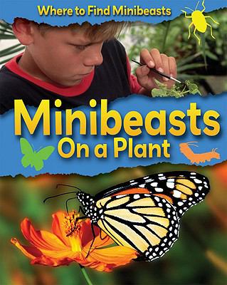 Minibeasts on a plant