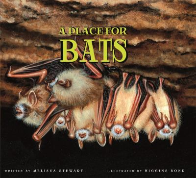 A place for bats