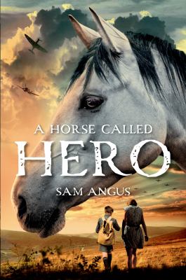 A horse called Hero