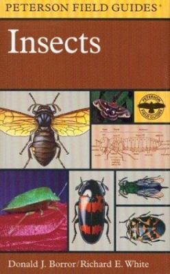 A field guide to insects : America north of Mexico