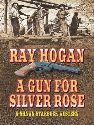 A Gun for Silver Rose : a Shawn Starbuck western