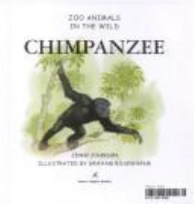 Chimpanzee