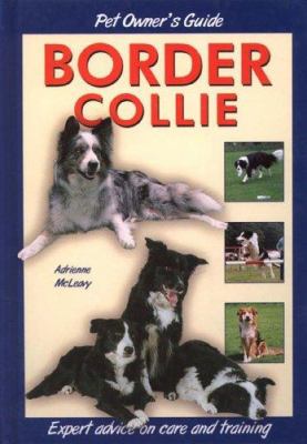 Dog owner's guide to the border collie