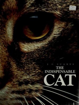 The indispensable cat