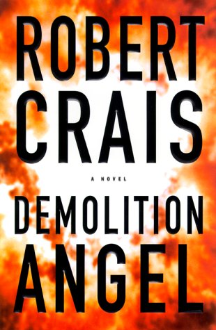 Demolition Angel: a novel