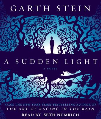 A sudden light : a novel