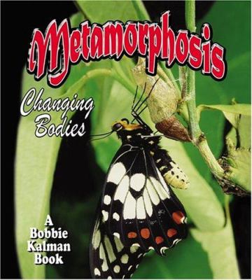 Metamorphosis : changing bodies