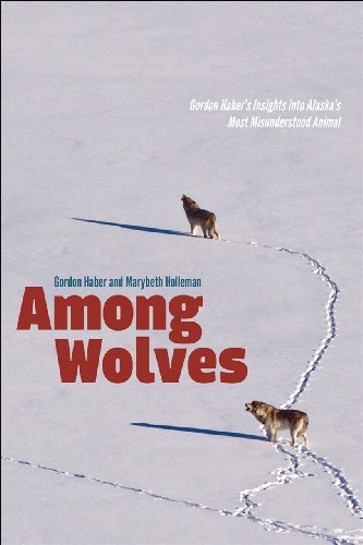 Among wolves : Gordon Haber's insights into Alaska's most misunderstood animal