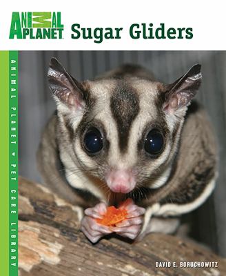 Sugar gliders