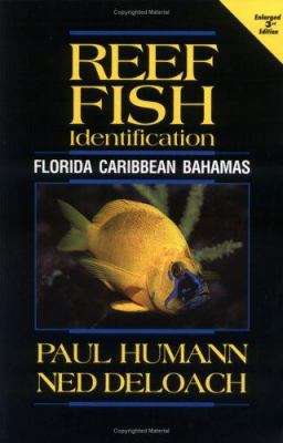 Reef fish identification : Florida, Caribbean, Bahamas