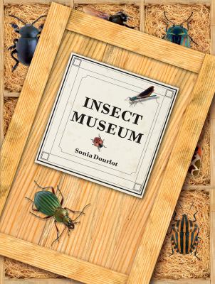 Insect museum : describing 114 species of insects and other arthropods, including their natural history and environment