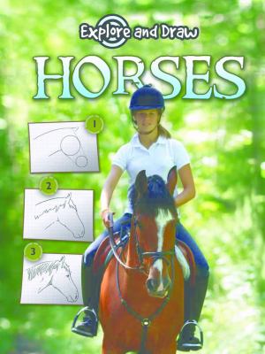 Horses : explore and draw